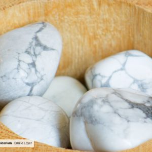 Howlite – Pierre de chemin de vie et réalignement