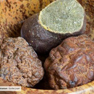 Marcassite – Pierre de vitalité et de clarté