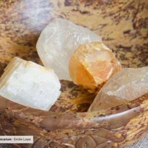 Quartz – Pierre d’éveil et d’amplification