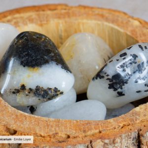 Quartz tourmaline – Pierre d’équilibre et de protection
