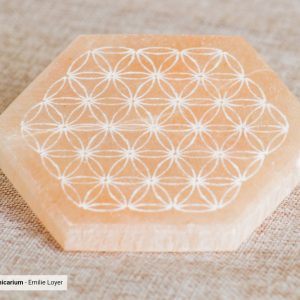 Plaque de sélénite hexagonale – Fleur de vie